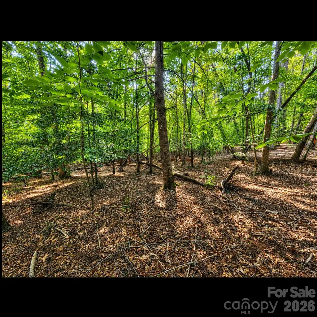 547 James View Road Marion NC 28752