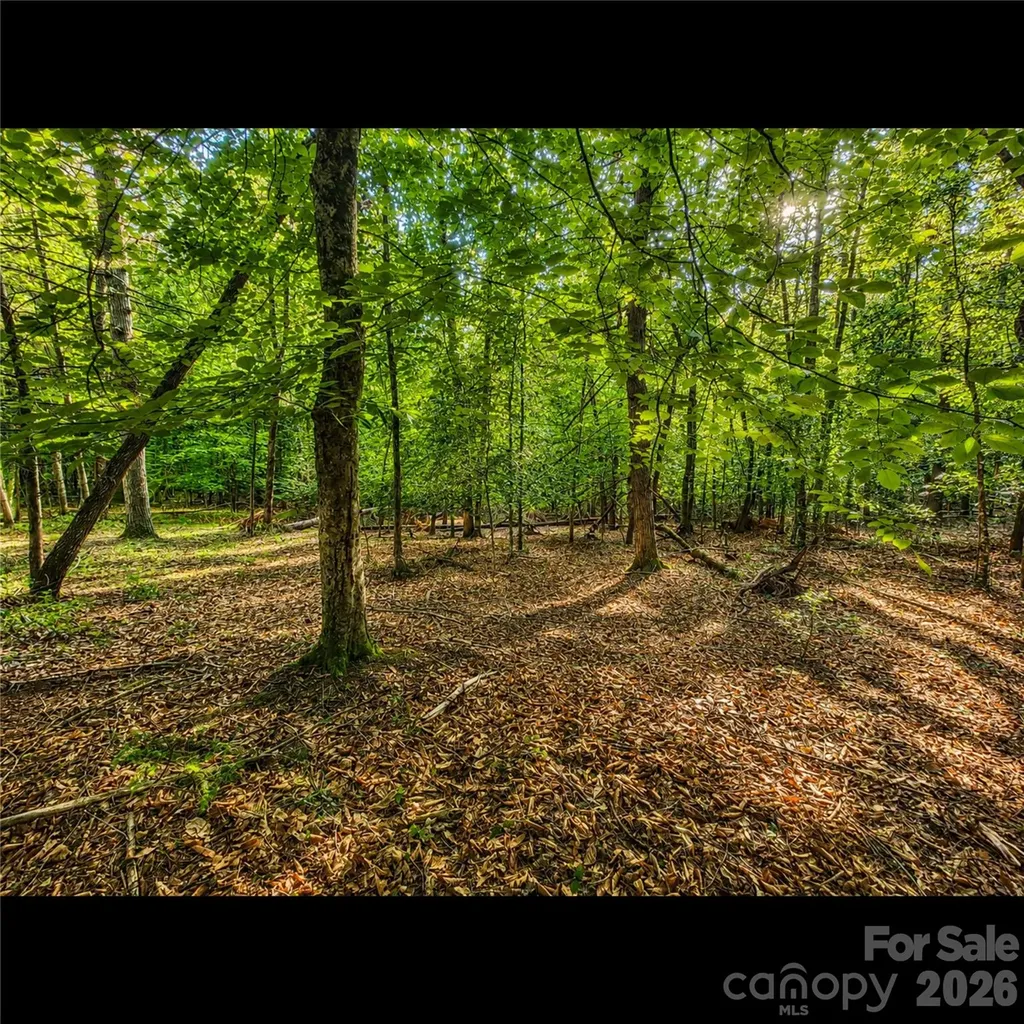 547 James View Road Marion NC 28752