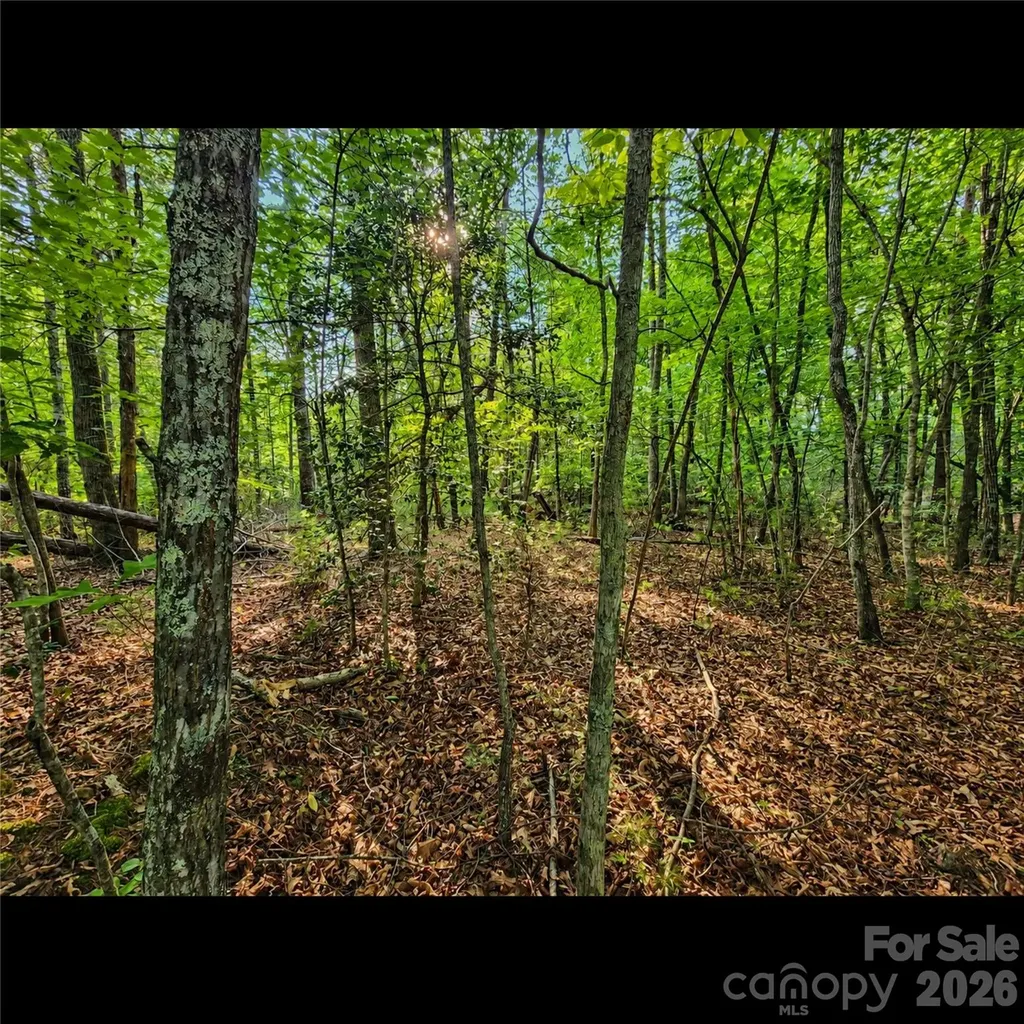 547 James View Road Marion NC 28752