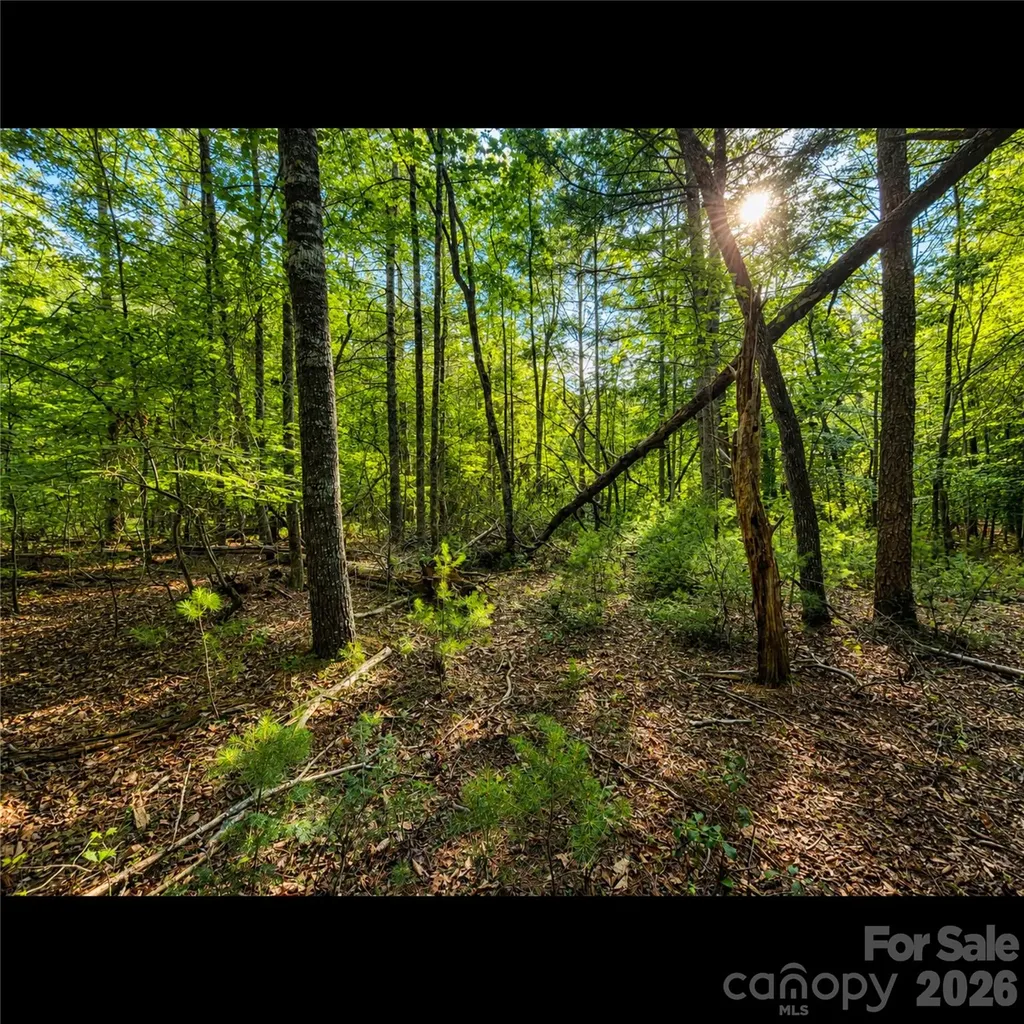 547 James View Road Marion NC 28752