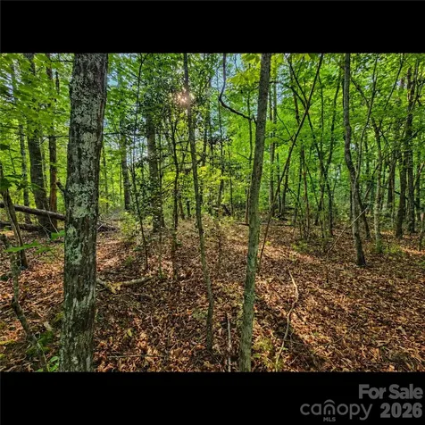 547 James View Road Marion NC 28752