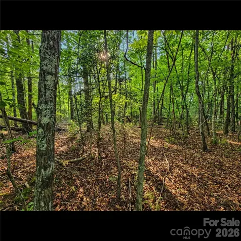 547 James View Road Marion NC 28752