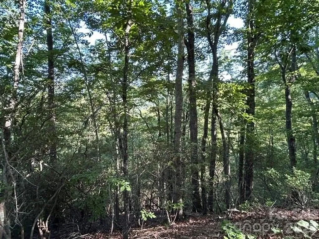 138 Settlers View Union Mills NC 28167
