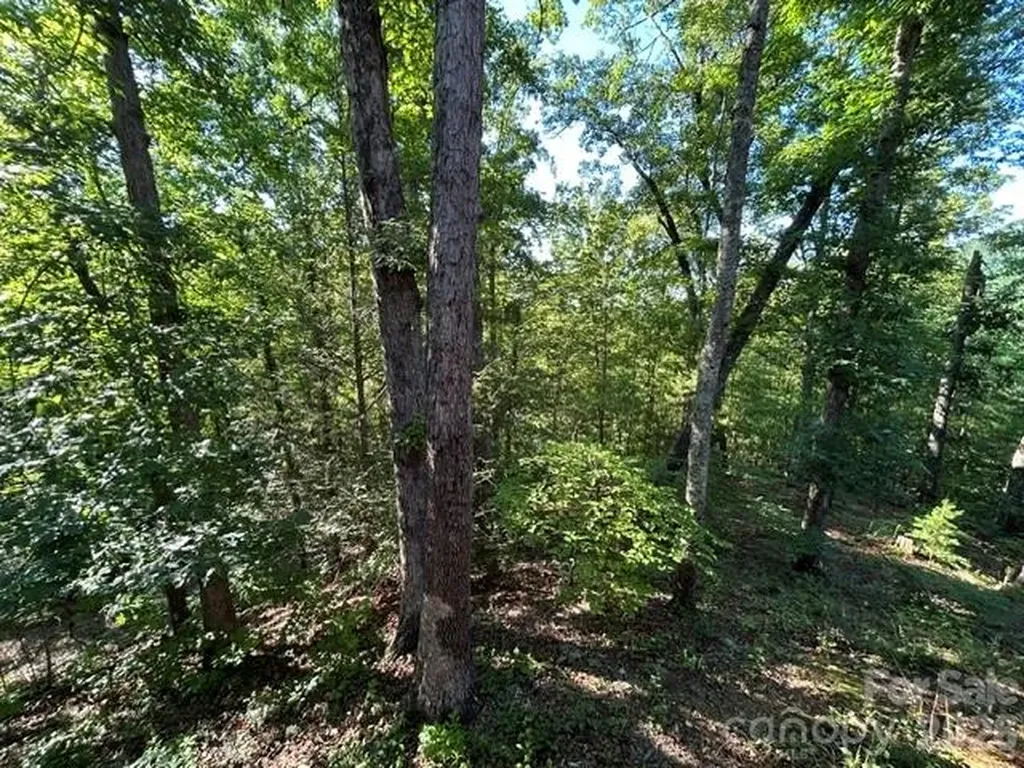 138 Settlers View Union Mills NC 28167