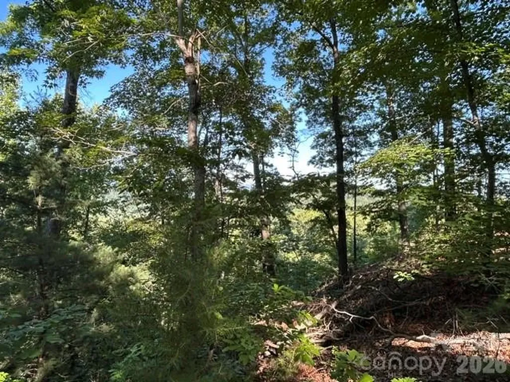 138 Settlers View Union Mills NC 28167