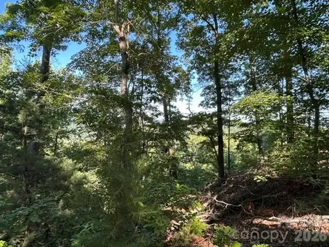 138 Settlers View Union Mills NC 28167
