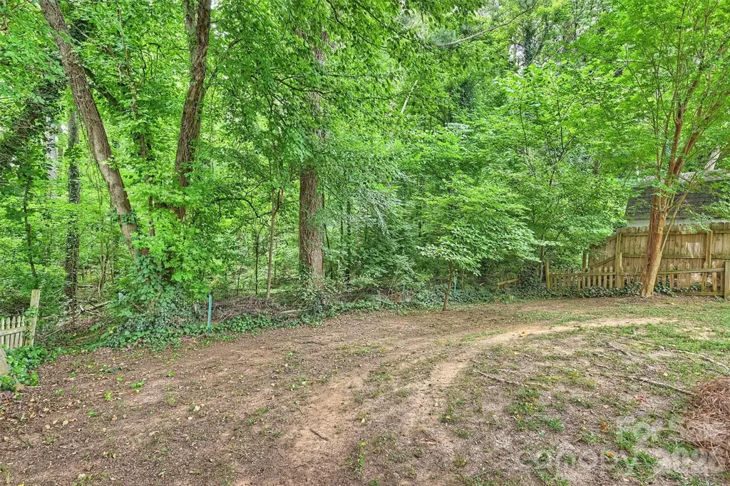 12048 Brownestone View Drive Charlotte NC 28269