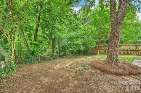 12048 Brownestone View Drive Charlotte NC 28269