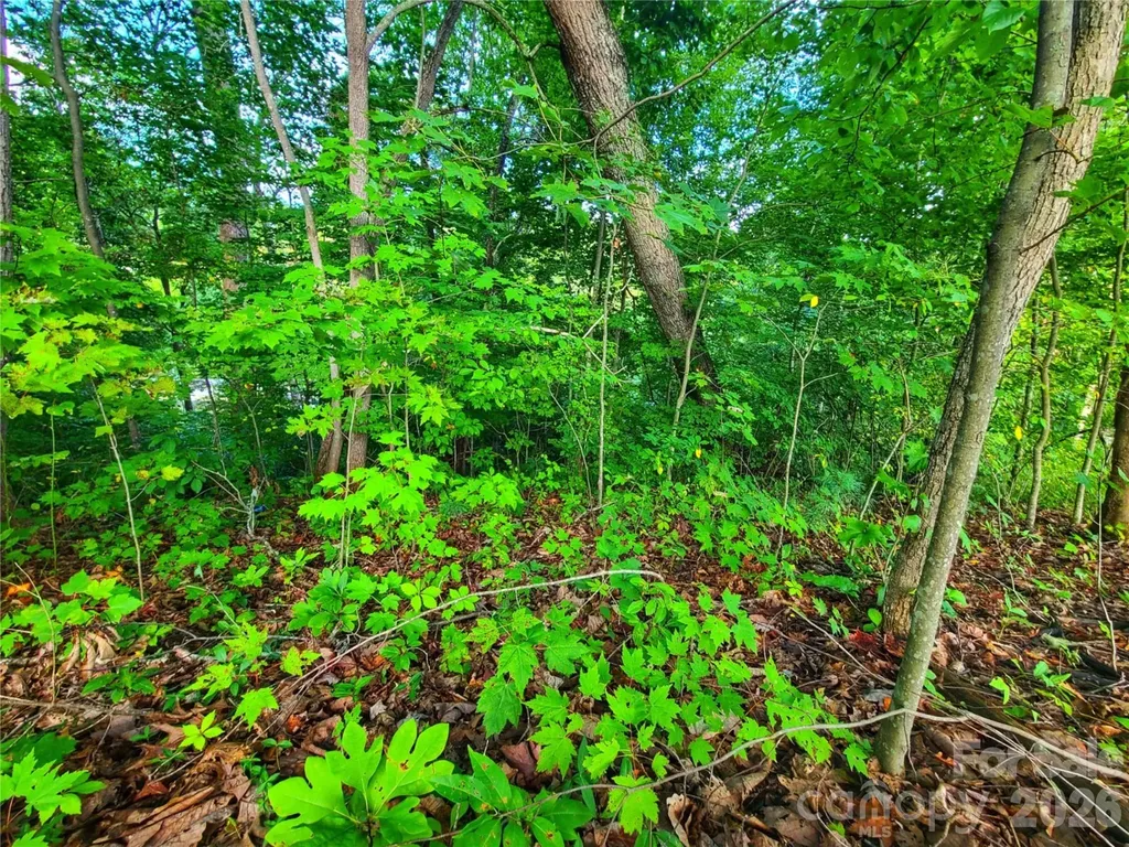 141 Sunrise Drive Mars Hill NC 28754