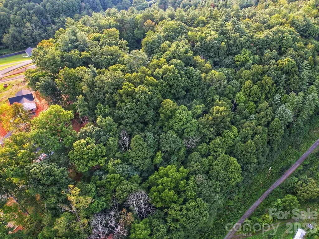 141 Sunrise Drive Mars Hill NC 28754