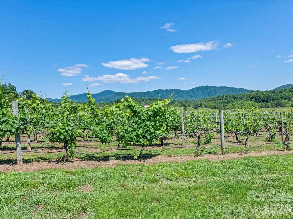 1418 Landis Lane Nebo NC 28761