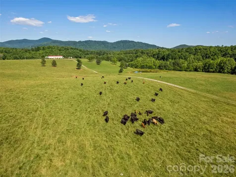 1418 Landis Lane Nebo NC 28761