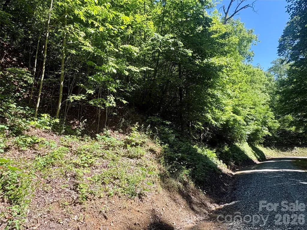 0 Middle Ridge Whittier NC 28789