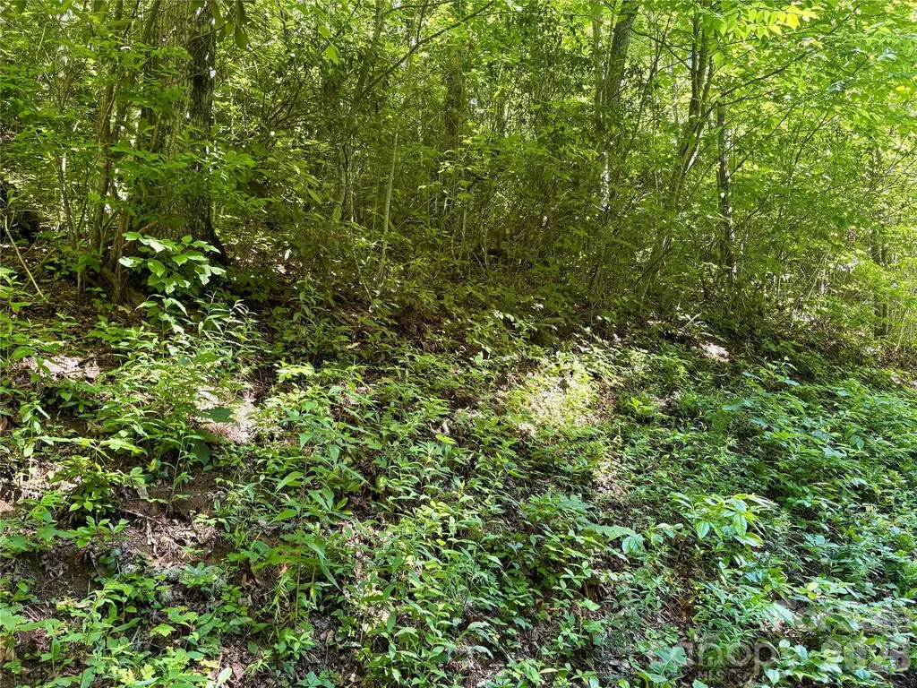 0 Middle Ridge Whittier NC 28789