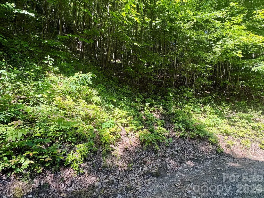 0 Middle Ridge Whittier NC 28789