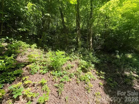 0 Middle Ridge Whittier NC 28789
