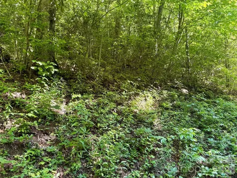 0 Middle Ridge Whittier NC 28789