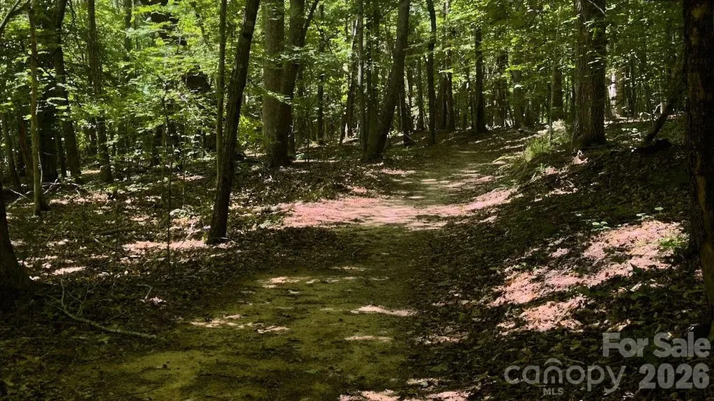 9818 S Nc 9 Lane Columbus NC 28722