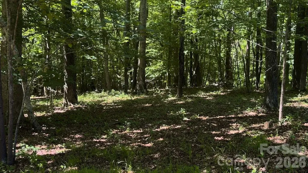 9818 S Nc 9 Lane Columbus NC 28722