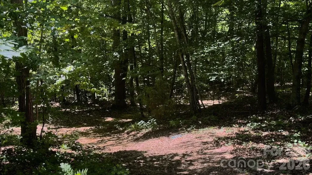 9818 S Nc 9 Lane Columbus NC 28722