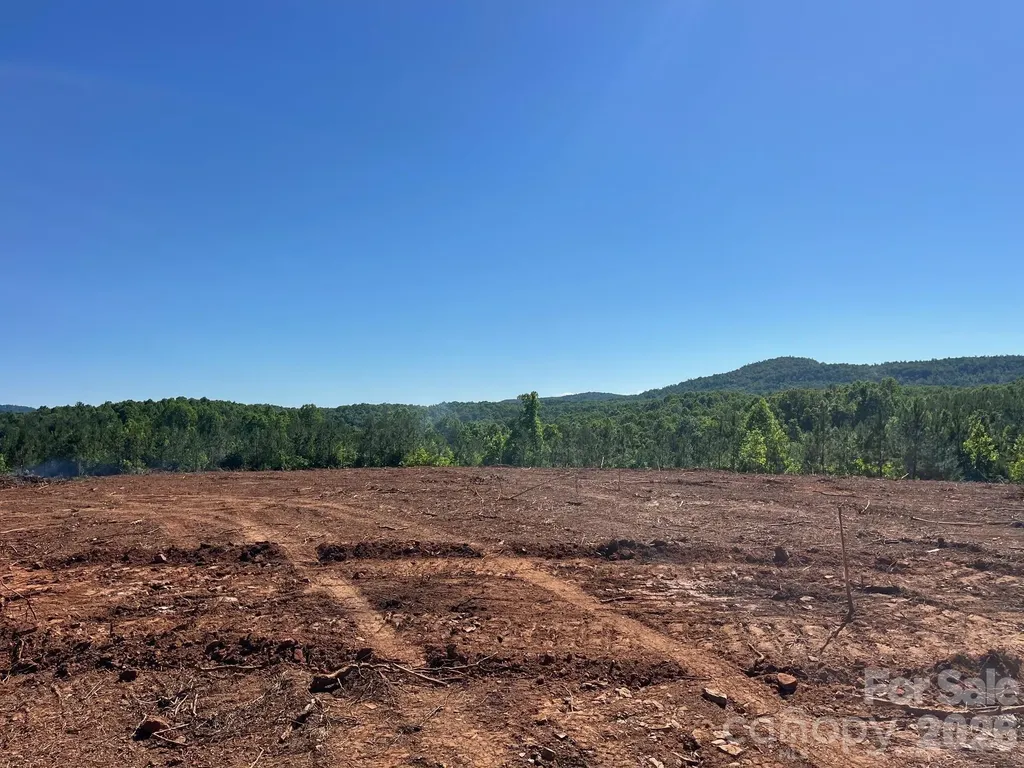 Tbd Vein Mountain Road Nebo NC 28761