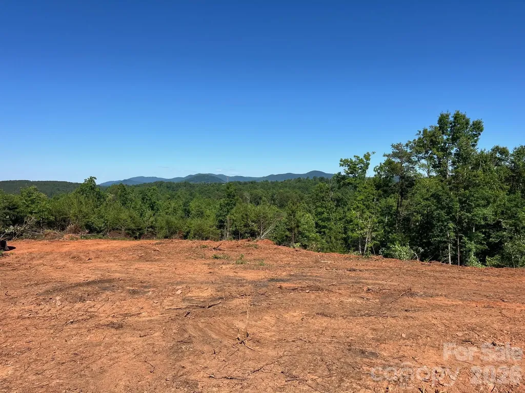 Tbd Vein Mountain Road Nebo NC 28761