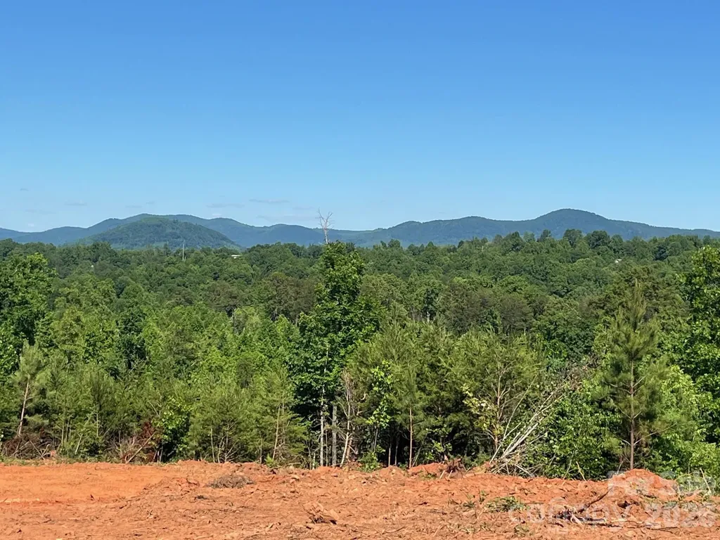 Tbd Vein Mountain Road Nebo NC 28761