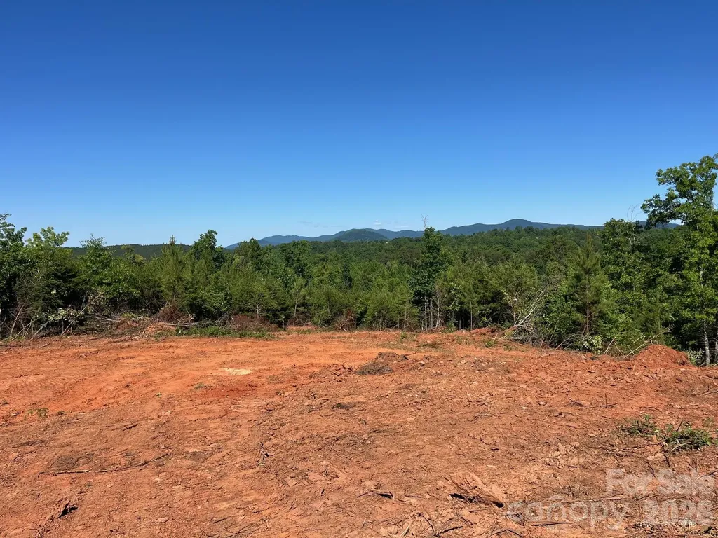 Tbd Vein Mountain Road Nebo NC 28761
