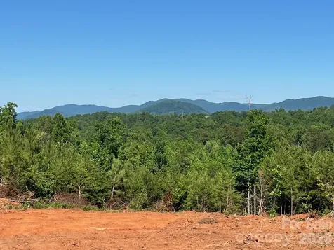 Tbd Vein Mountain Road Nebo NC 28761