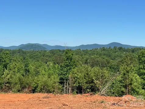 Tbd Vein Mountain Road Nebo NC 28761