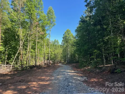Tbd Vein Mountain Road Nebo NC 28761