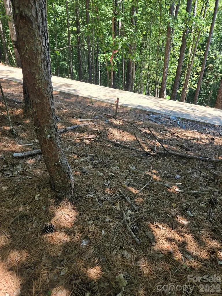 154 Oak Point Lane Stony Point NC 28678
