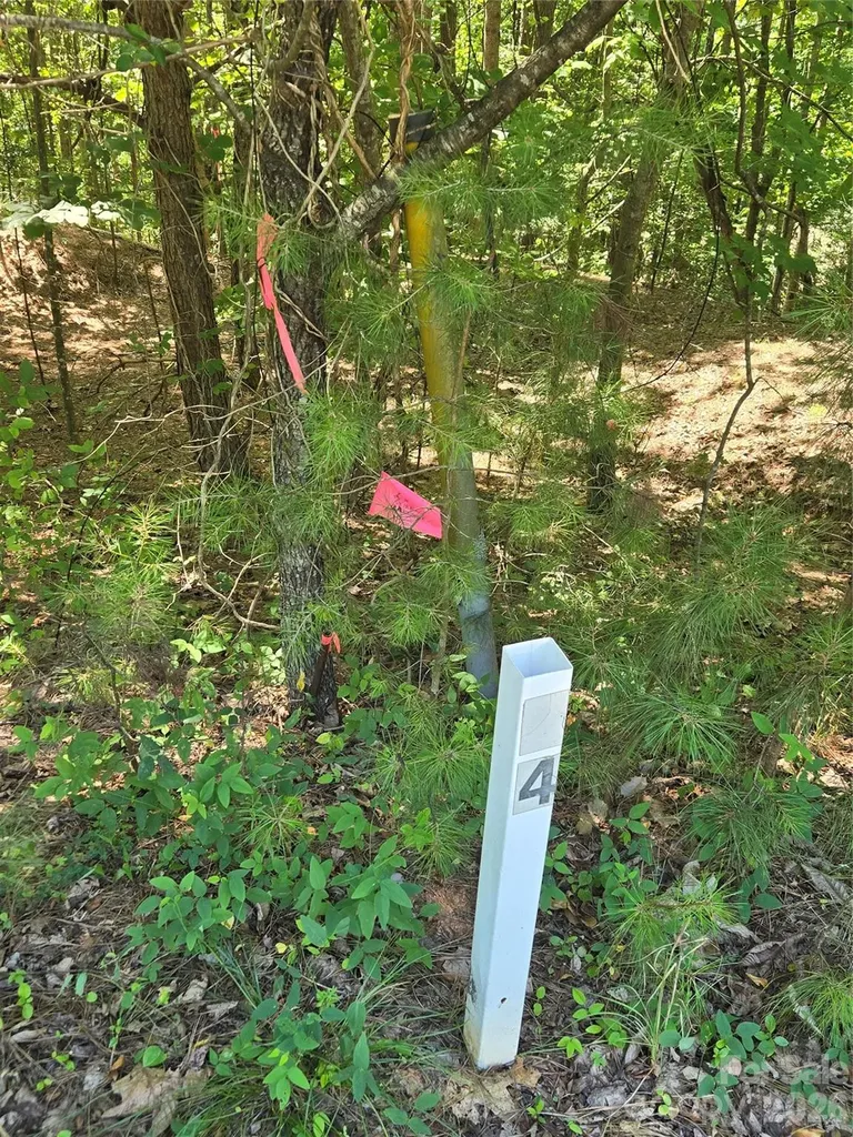 154 Oak Point Lane Stony Point NC 28678