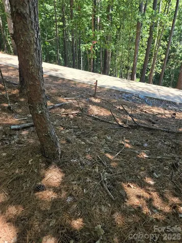 154 Oak Point Lane Stony Point NC 28678