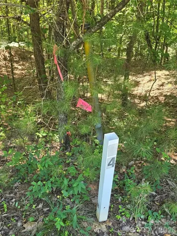 154 Oak Point Lane Stony Point NC 28678