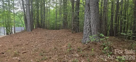 154 Oak Point Lane Stony Point NC 28678