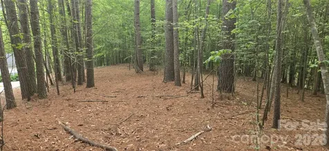 154 Oak Point Lane Stony Point NC 28678