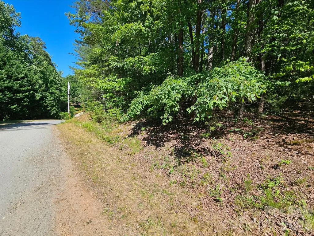 136 Doves Way Lake Lure NC 28746