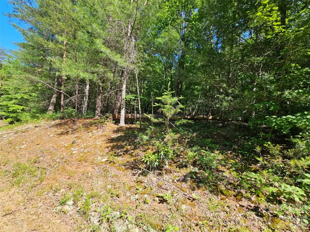 136 Doves Way Lake Lure NC 28746