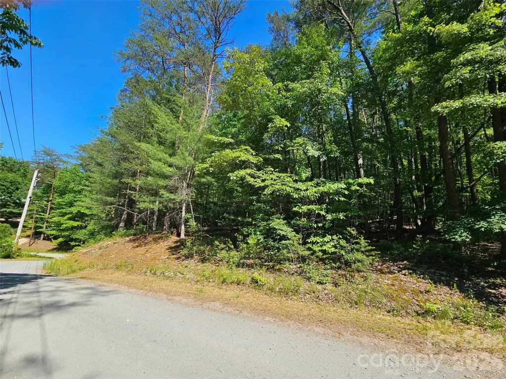 136 Doves Way Lake Lure NC 28746