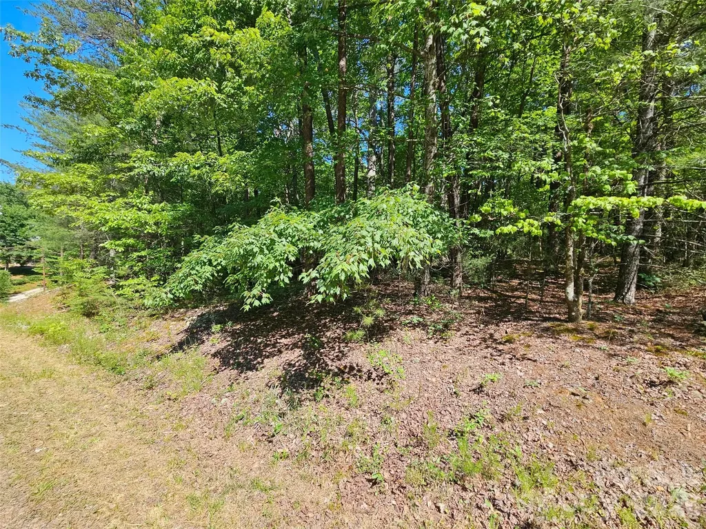 136 Doves Way Lake Lure NC 28746