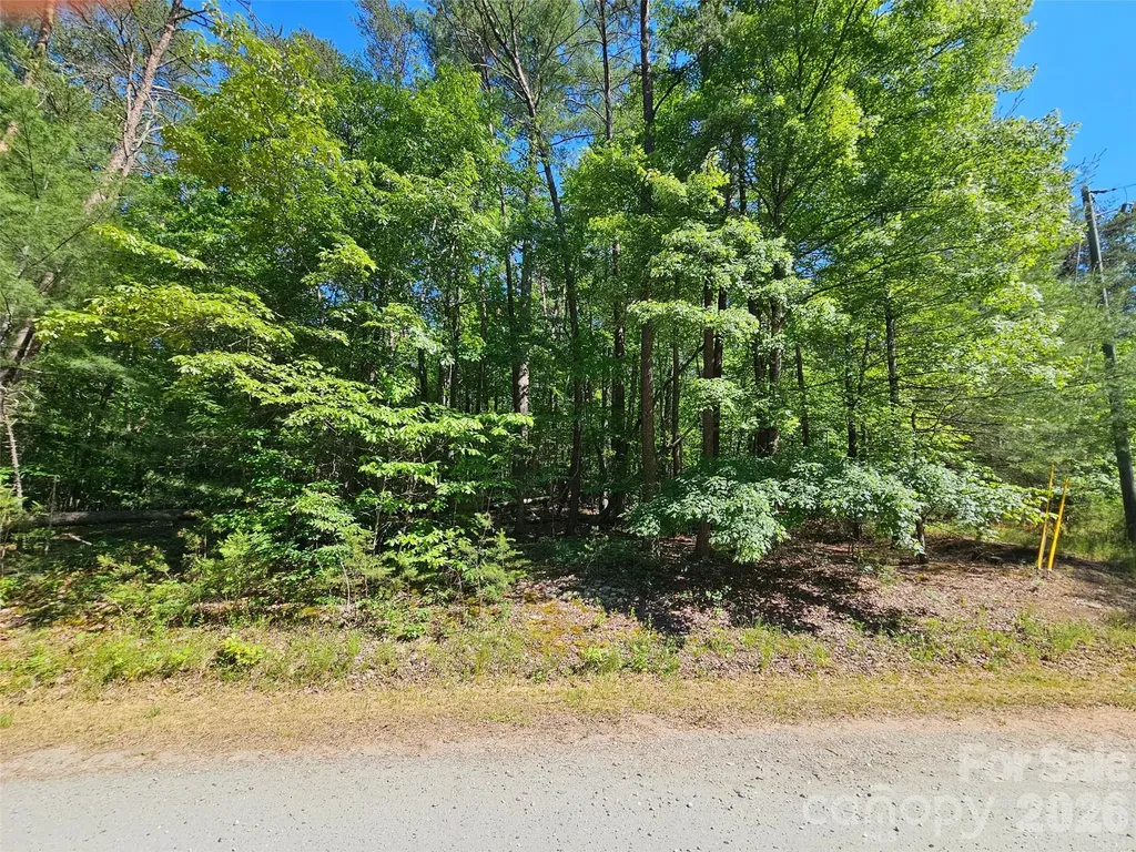 136 Doves Way Lake Lure NC 28746