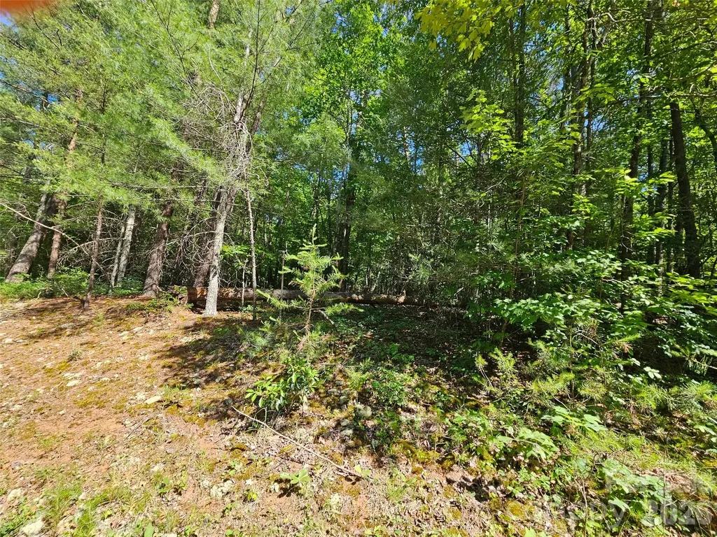 136 Doves Way Lake Lure NC 28746