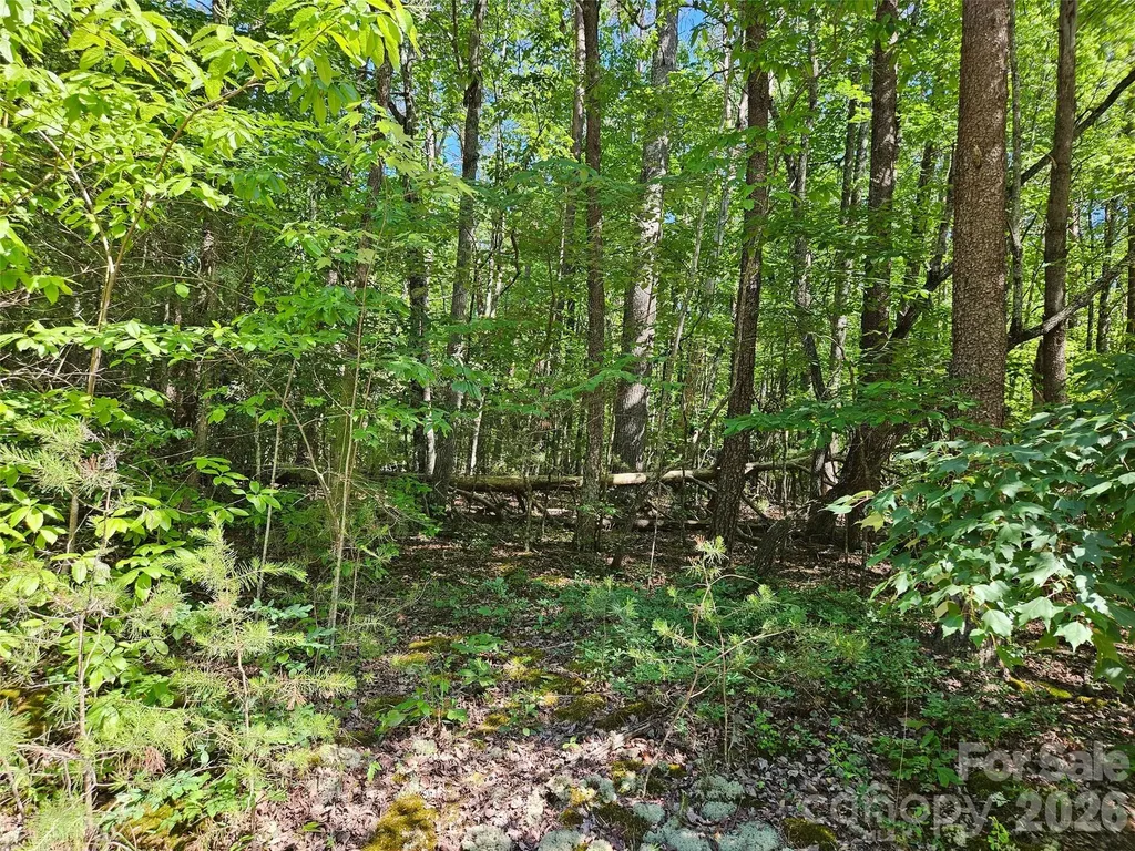 136 Doves Way Lake Lure NC 28746