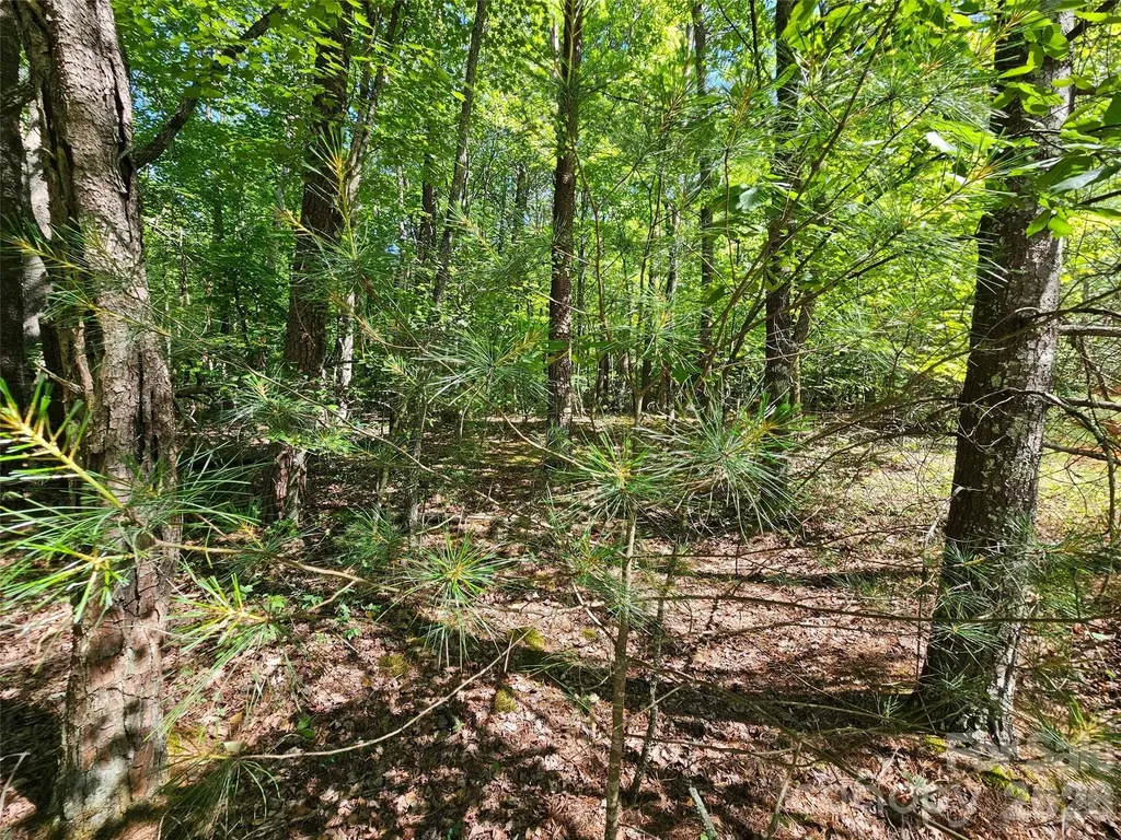 136 Doves Way Lake Lure NC 28746