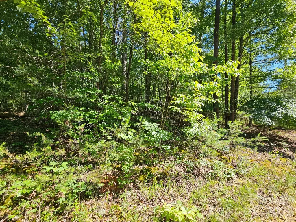 136 Doves Way Lake Lure NC 28746