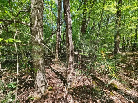136 Doves Way Lake Lure NC 28746