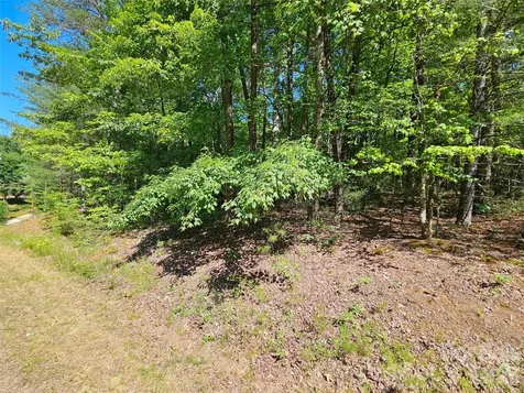 136 Doves Way Lake Lure NC 28746