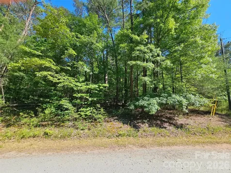 136 Doves Way Lake Lure NC 28746