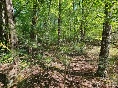 136 Doves Way Lake Lure NC 28746
